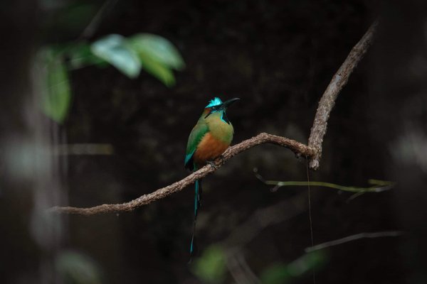 Can UK Businesses Benefit from Implementing ISO 14001 Environmental Management?