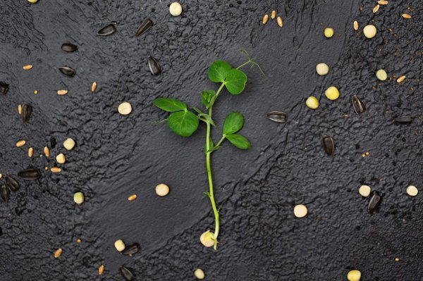 How Can Microgrid Technologies Stabilize Energy Supply in Remote UK Villages?